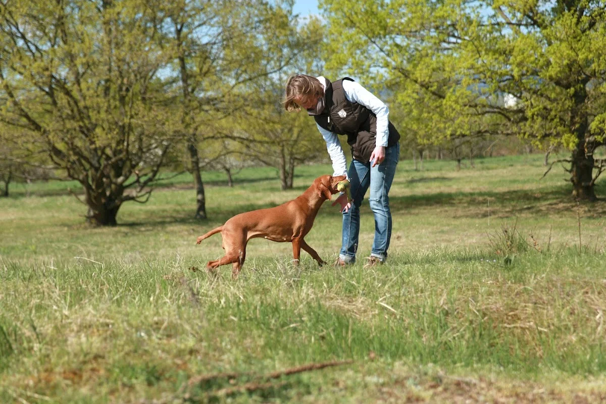 Hundeschule FamilienJagdHund