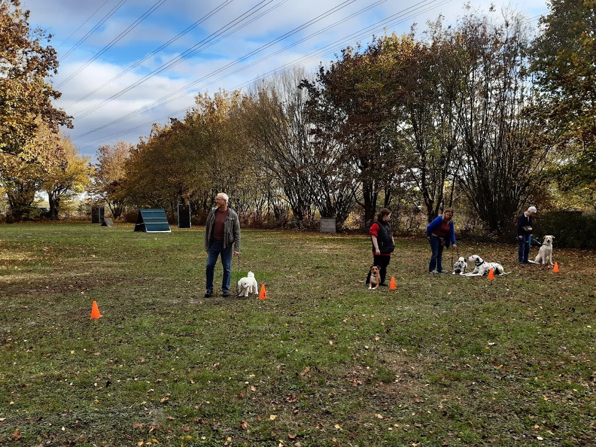 Hundesportverein Mainz-Laubenheim e.V.