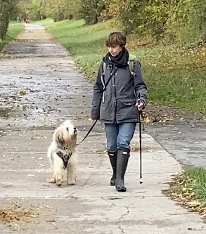 Marcels Hundeschule Mainz